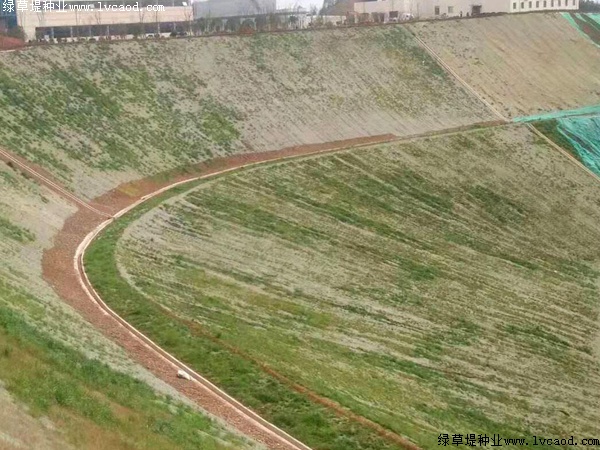 鐵路路基護(hù)坡綠化工程應(yīng)用 鐵路路基護(hù)坡綠化工程應(yīng)用