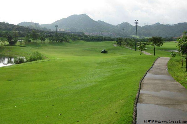 草坪在園林景觀設(shè)計中的應(yīng)用