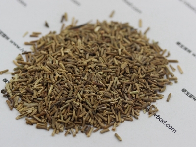 美女櫻種子價格_圖片_種植方法