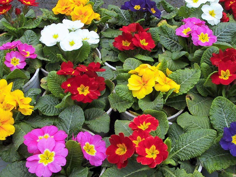 1598188282170075.jpg 1.jpg