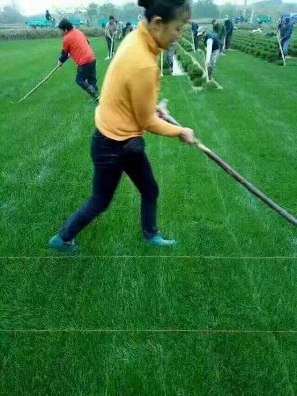 1561968044100307.jpg img_0531.jpg