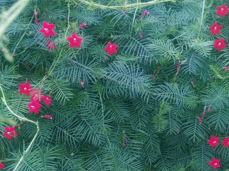 1601725575625802.jpg 2.jpg