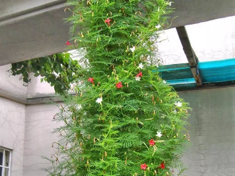 1601725578751539.jpg 4 (2).jpg