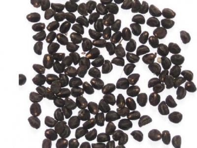 牽?；ǚN子泡水開裂