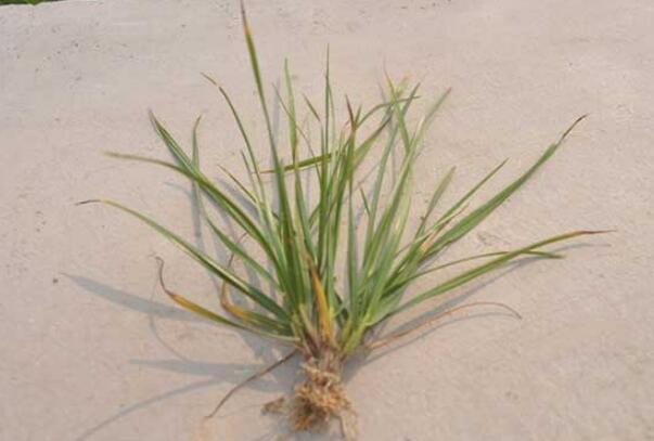 1644589517387343.jpg QQ截圖20220211222159.jpg