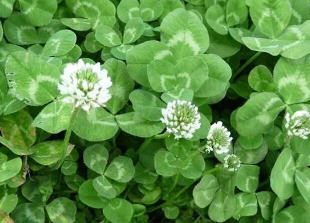 1670131678986089.jpg 5+.jpg